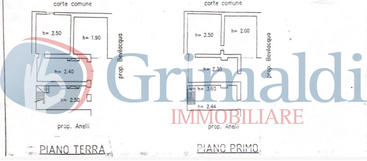 immagine annuncio 1 di 4