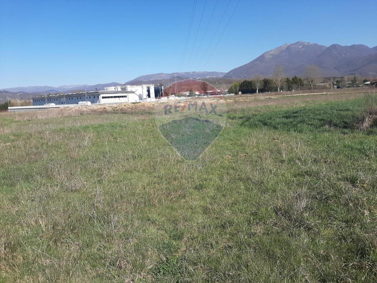 immagine annuncio 4 di 8