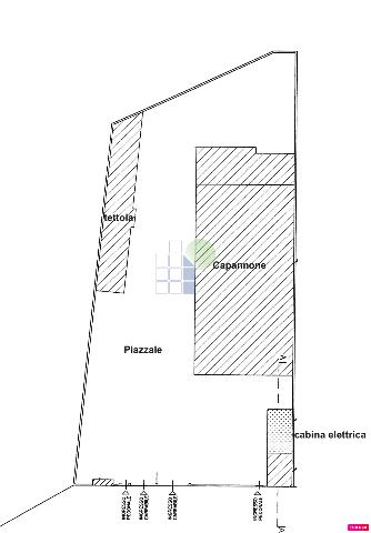 main planimetry real estate image