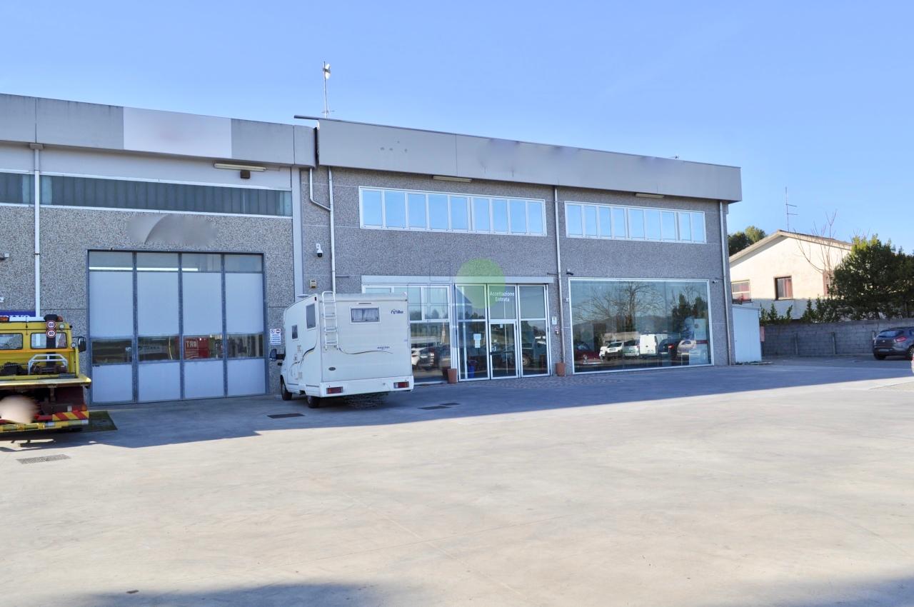 Capannone in , Collesalvetti - Foto 1