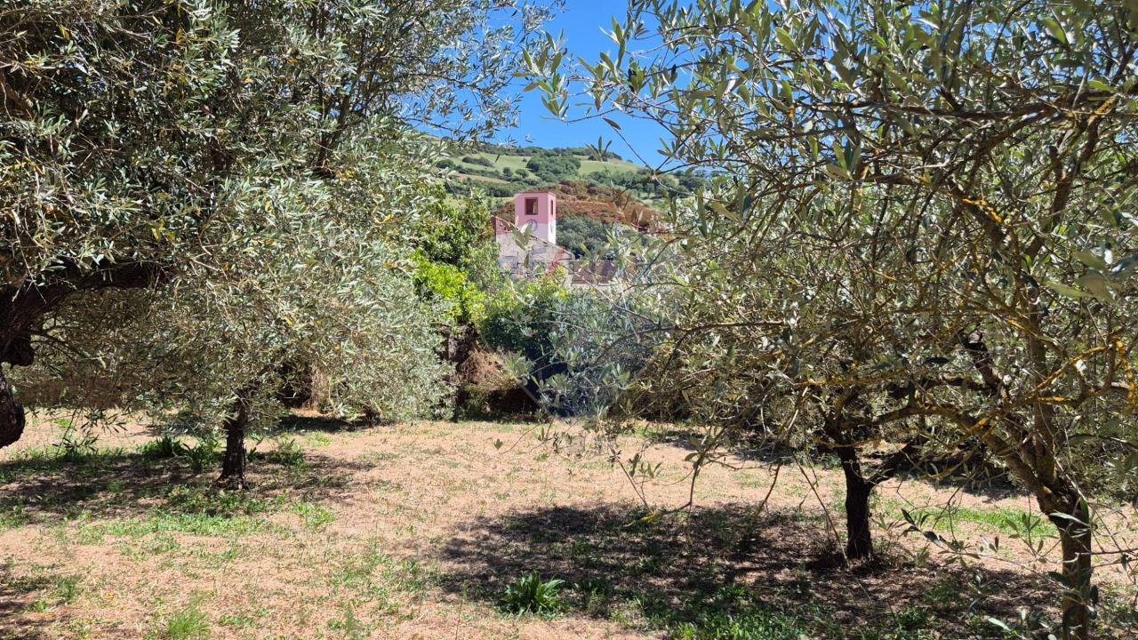 immagine annuncio 4 di 6