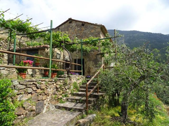 Country house or cottage in Via P. C. Benvenuti, Calci - Photo 1