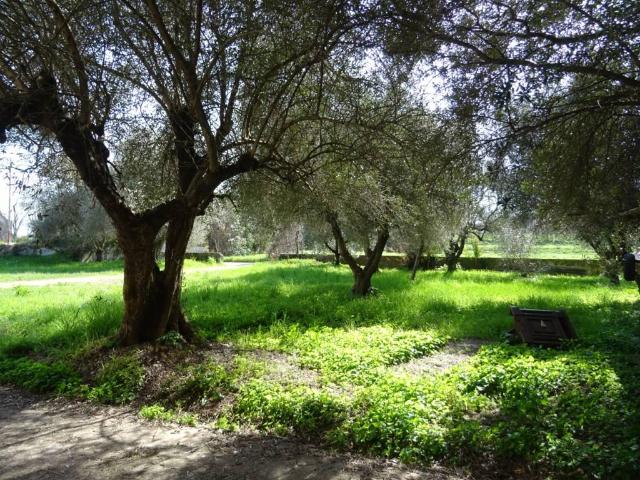 Country house or cottage in Via Giacomo Matteotti, San Giuliano Terme - Photo 1