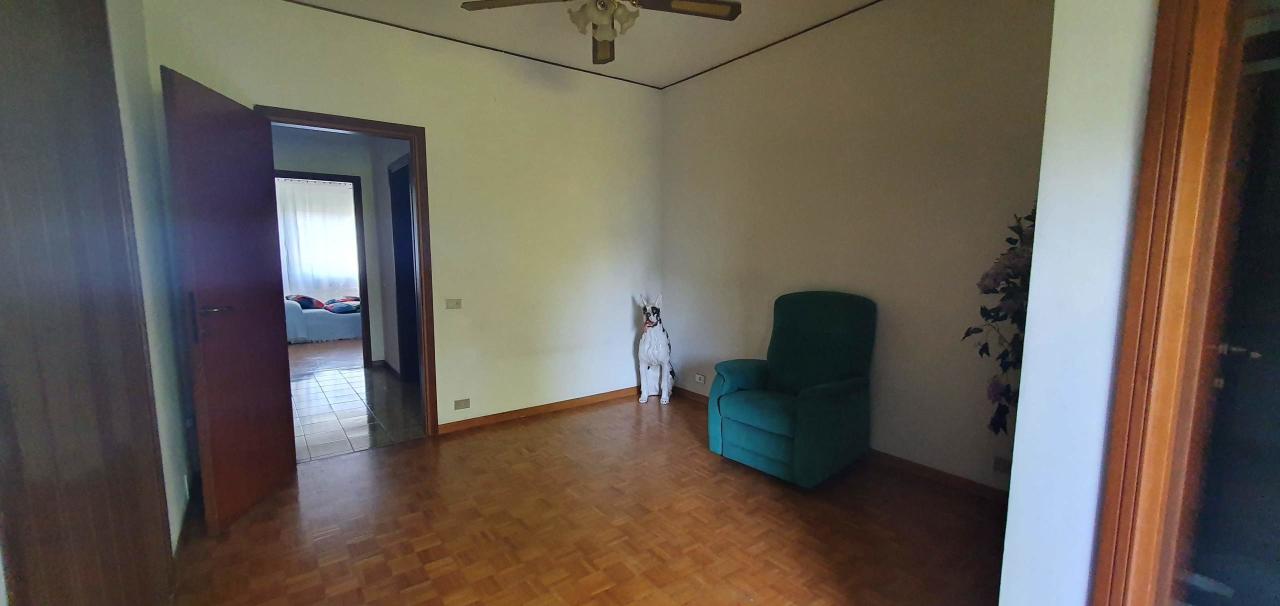 immagine annuncio 4 di 11