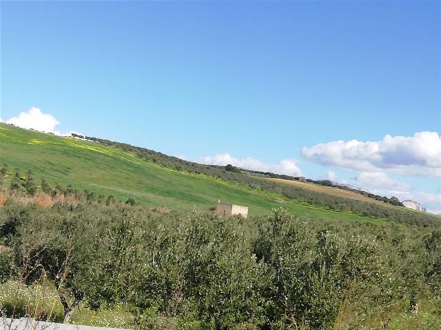 Terreno agricolo, Sciacca - Foto 1