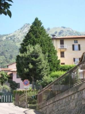 Negozio in , Esino Lario, {3} - Foto 1