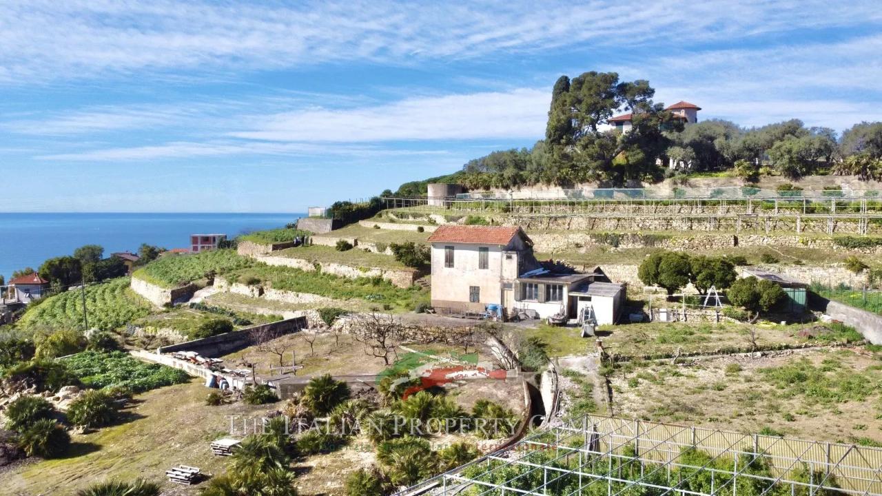 immagine annuncio 1 di 8