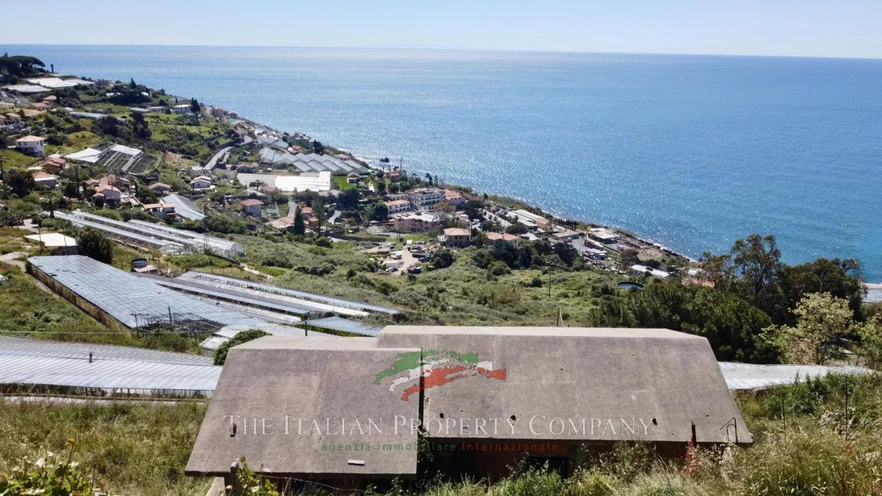 immagine annuncio 2 di 13