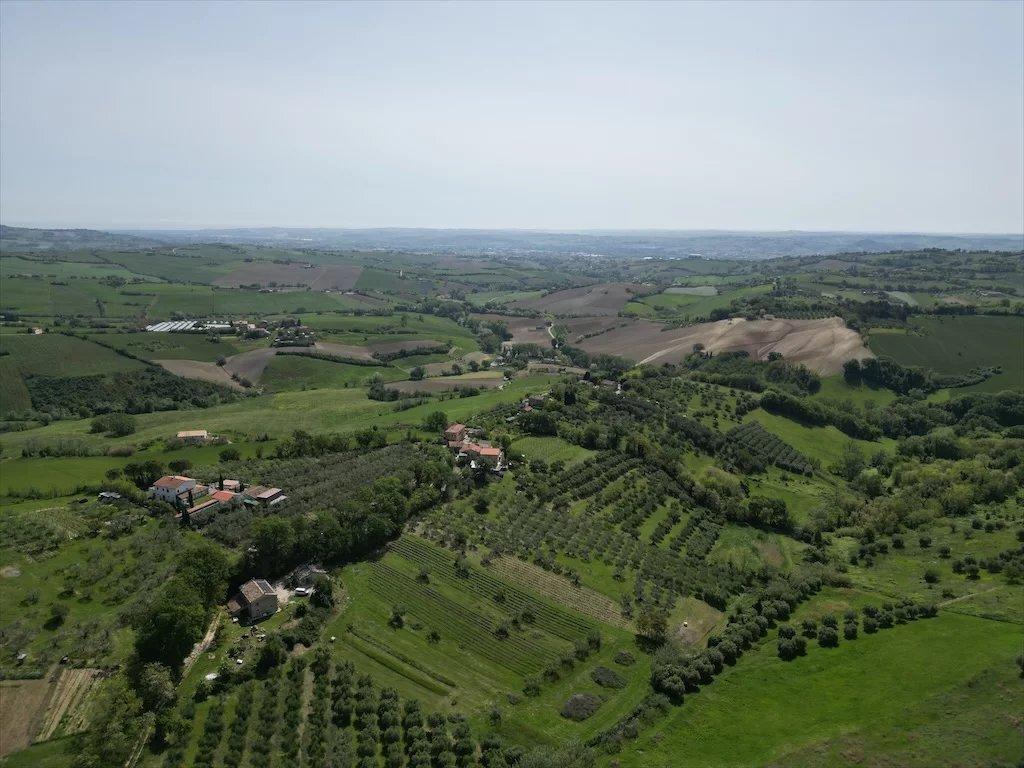immagine annuncio 7 di 8