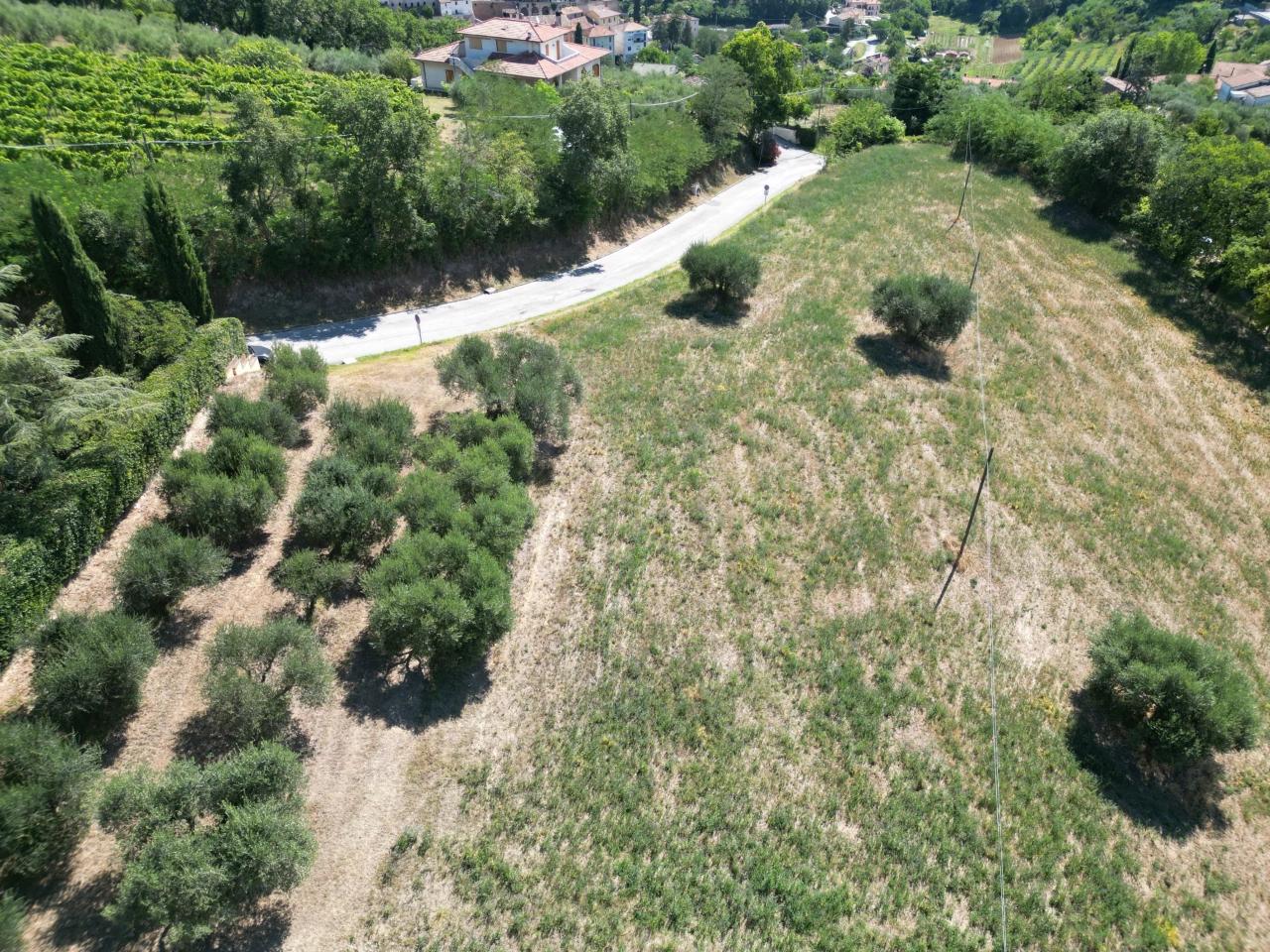 immagine annuncio 4 di 12