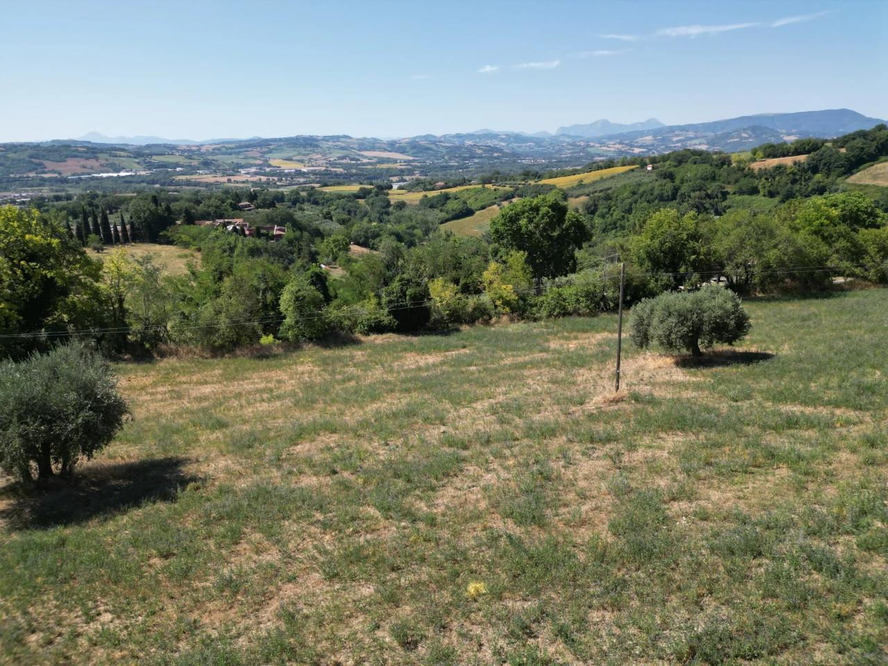 immagine annuncio 7 di 12