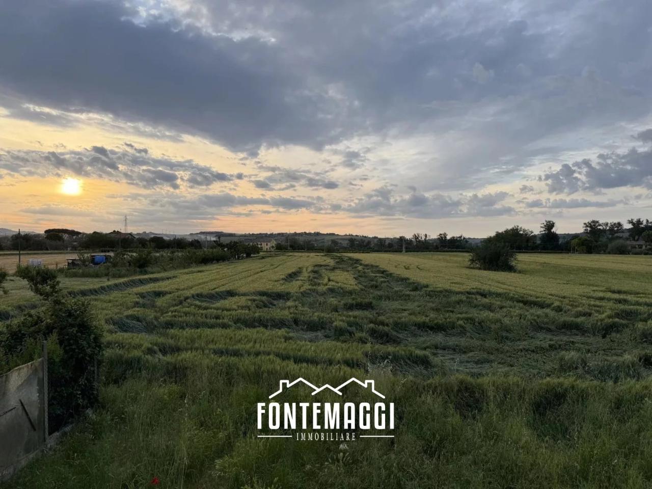 immagine annuncio 11 di 14