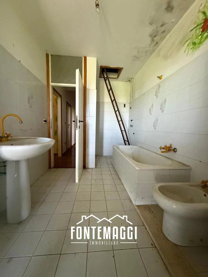 immagine annuncio 5 di 14