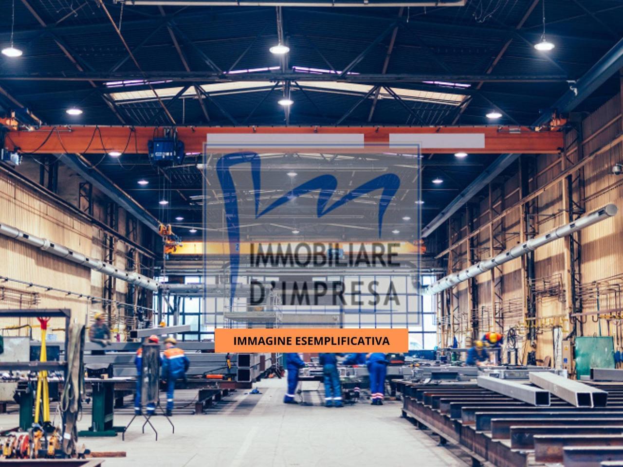 immagine annuncio 5 di 7