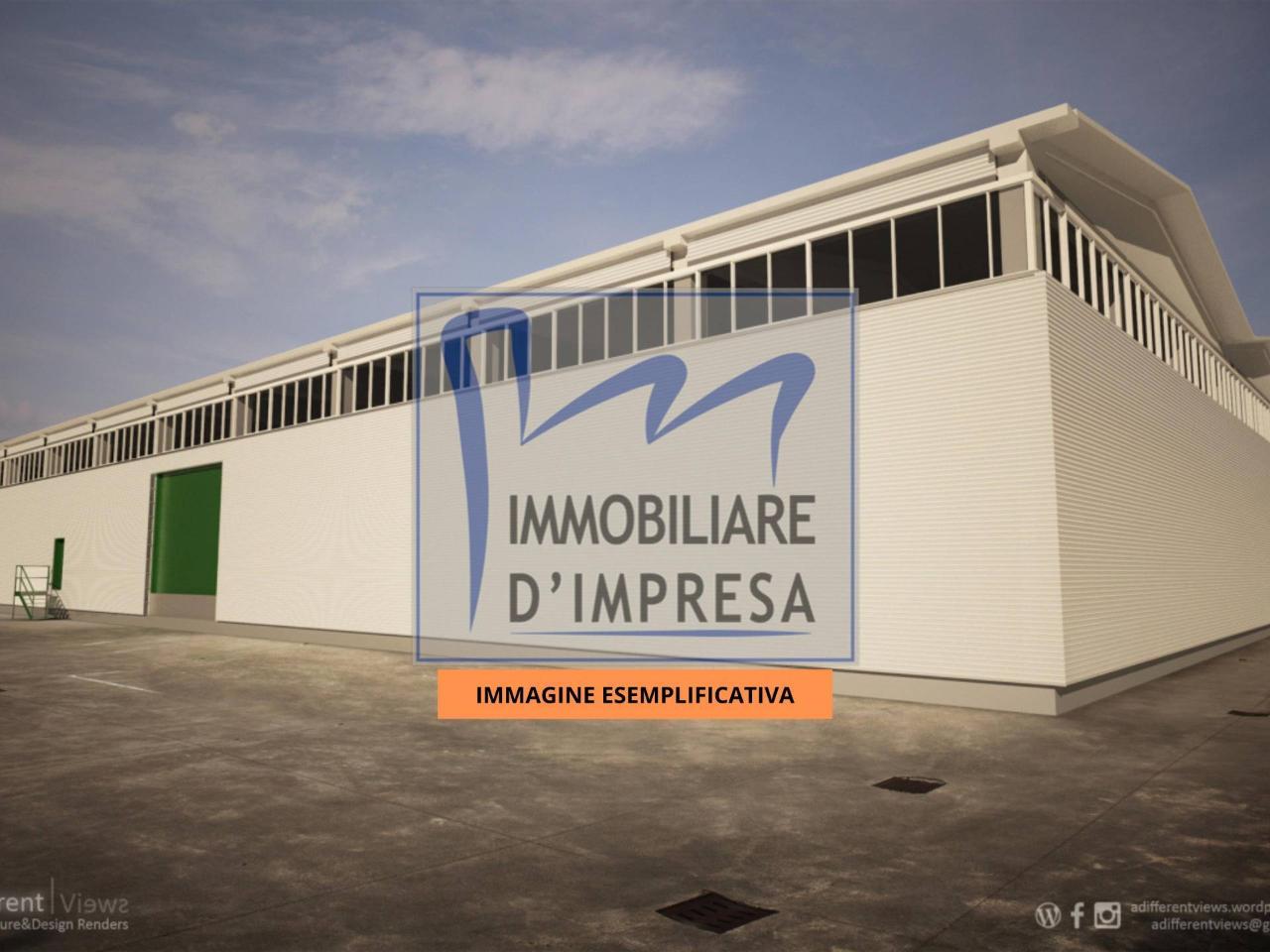 immagine annuncio 6 di 7