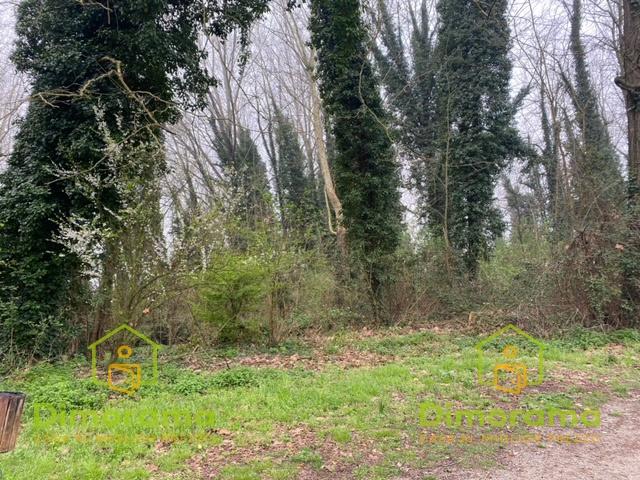 Terreno agricolo in vendita a Lucca