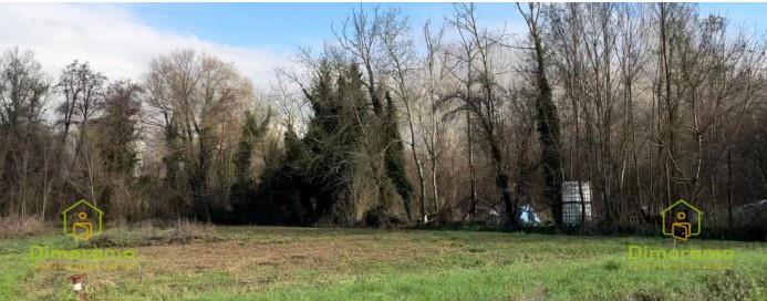 Terreno agricolo in vendita a Lucca