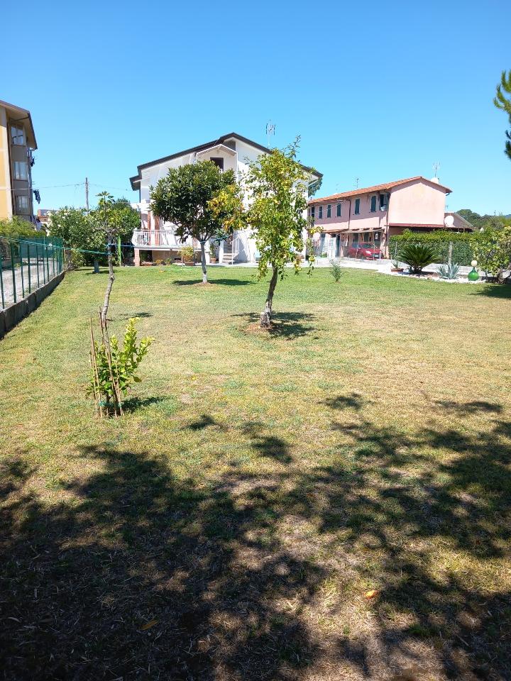 immagine annuncio 9 di 14