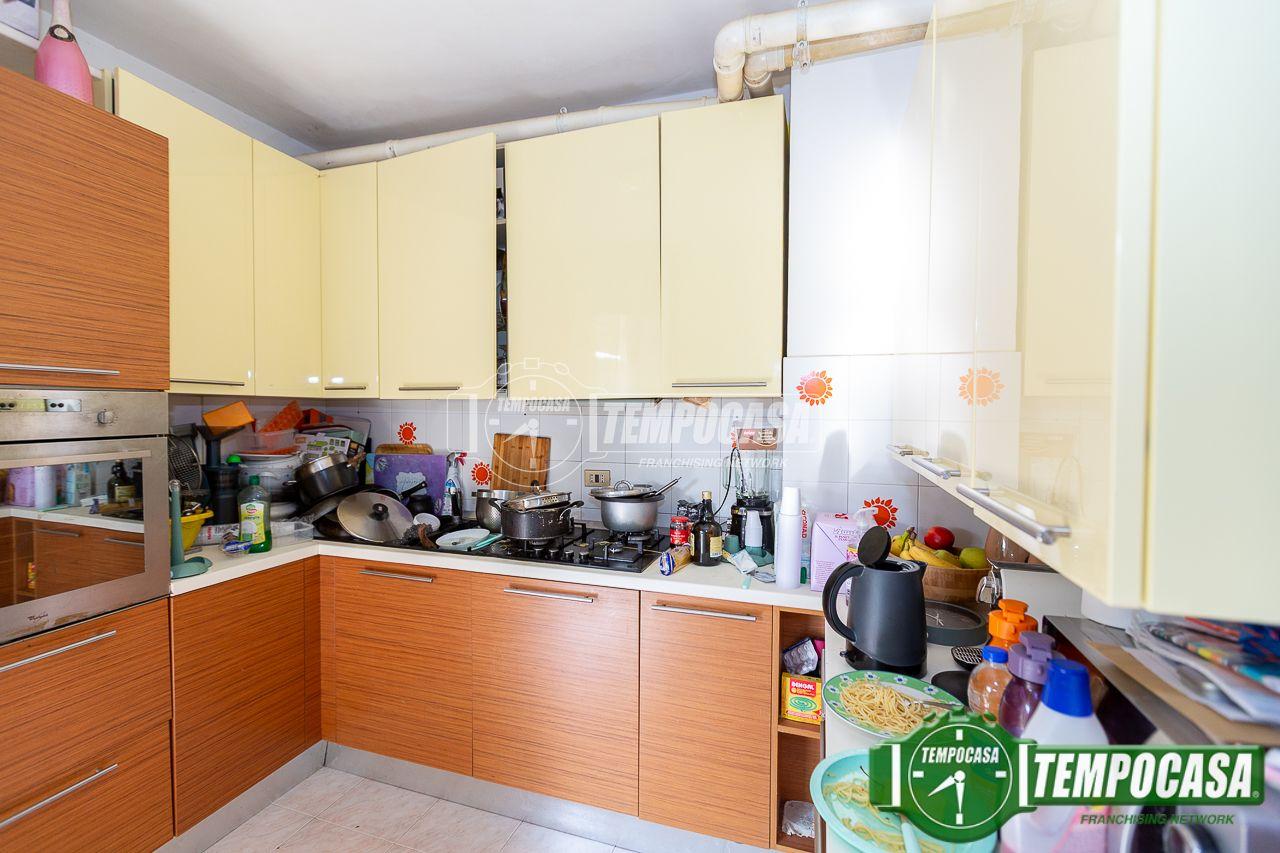 immagine annuncio 6 di 15