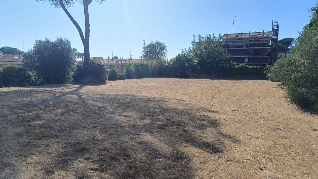 immagine annuncio 3 di 12