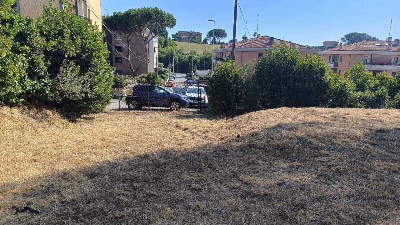 immagine annuncio 8 di 12