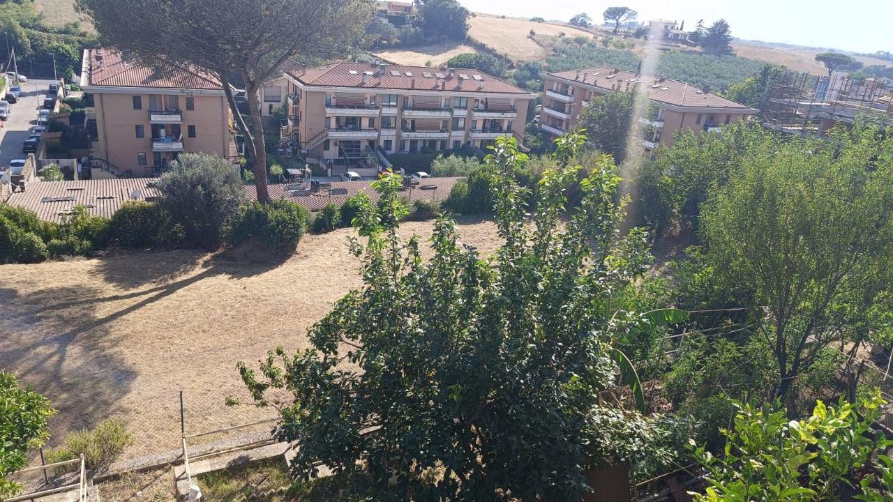 immagine annuncio 6 di 12