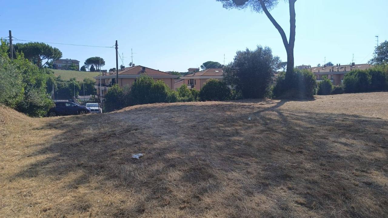 immagine annuncio 5 di 12