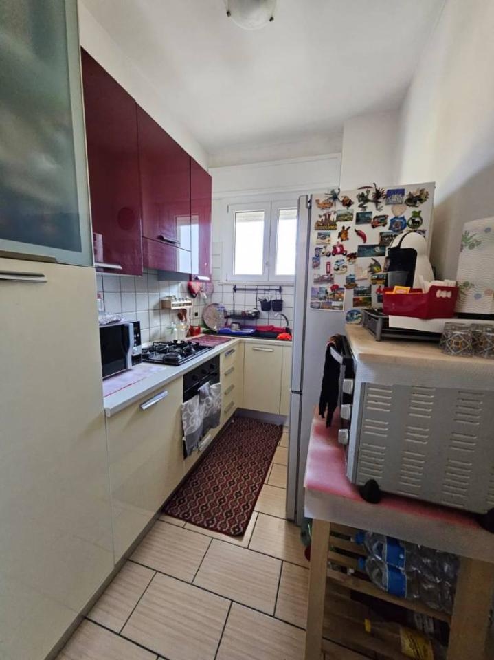 immagine annuncio 3 di 14