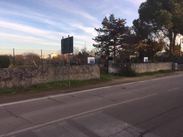 Terreno agricolo in Via Gallipoli S.N.C., Nardò - Foto 1