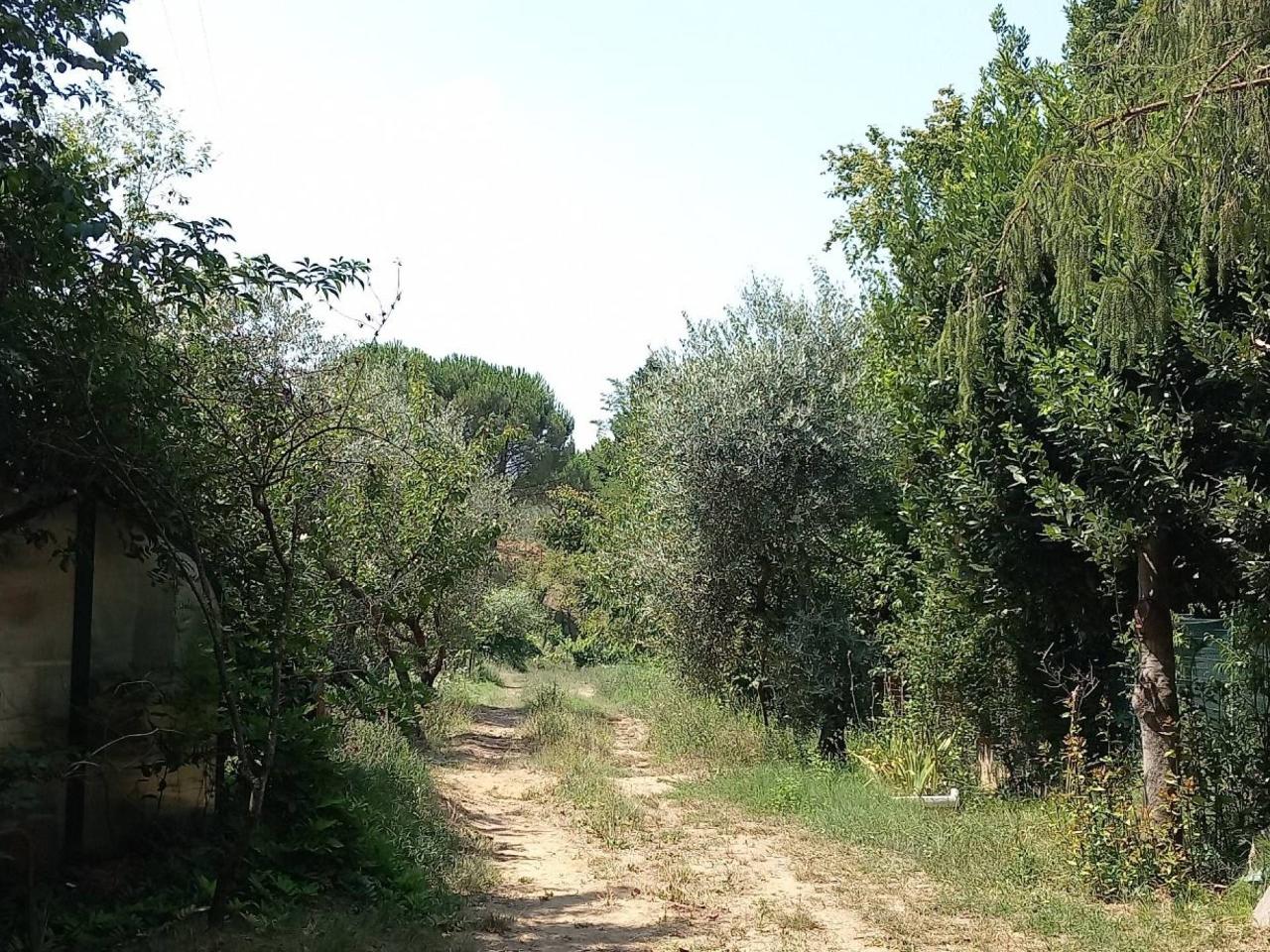 immagine annuncio 2 di 6