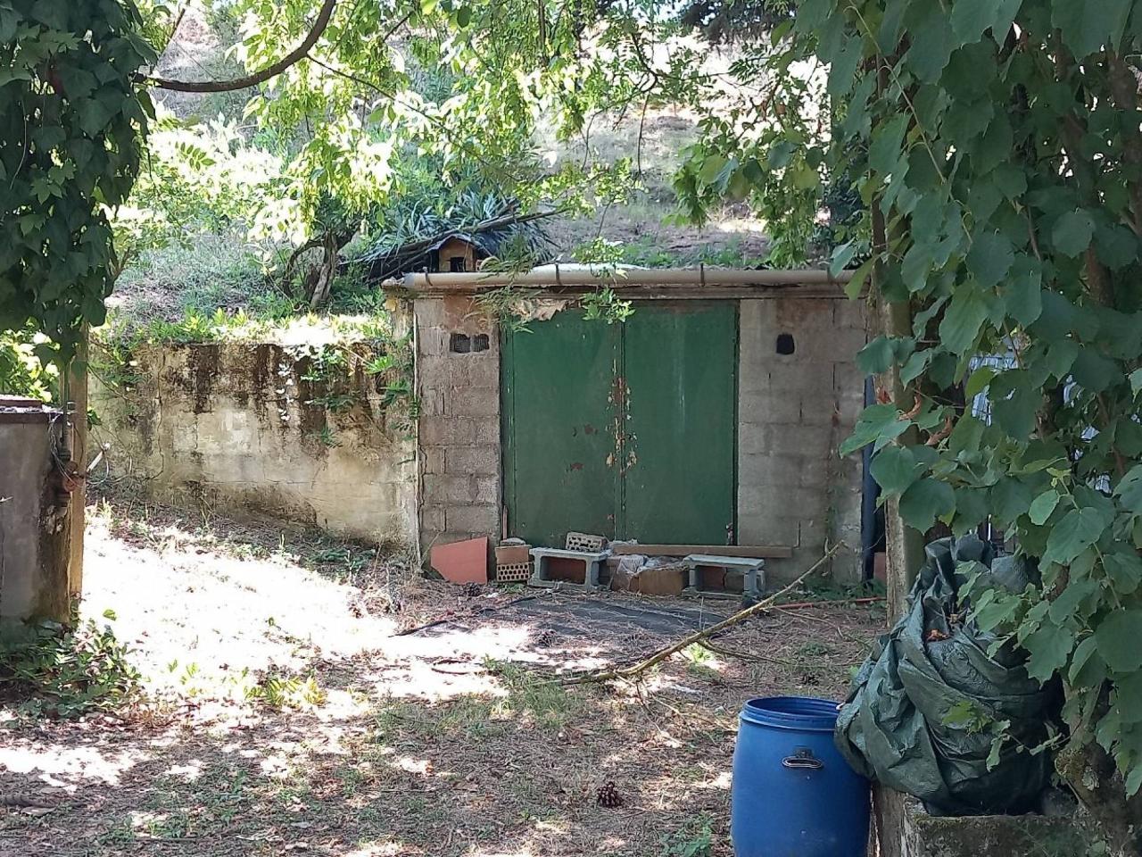 immagine annuncio 3 di 6