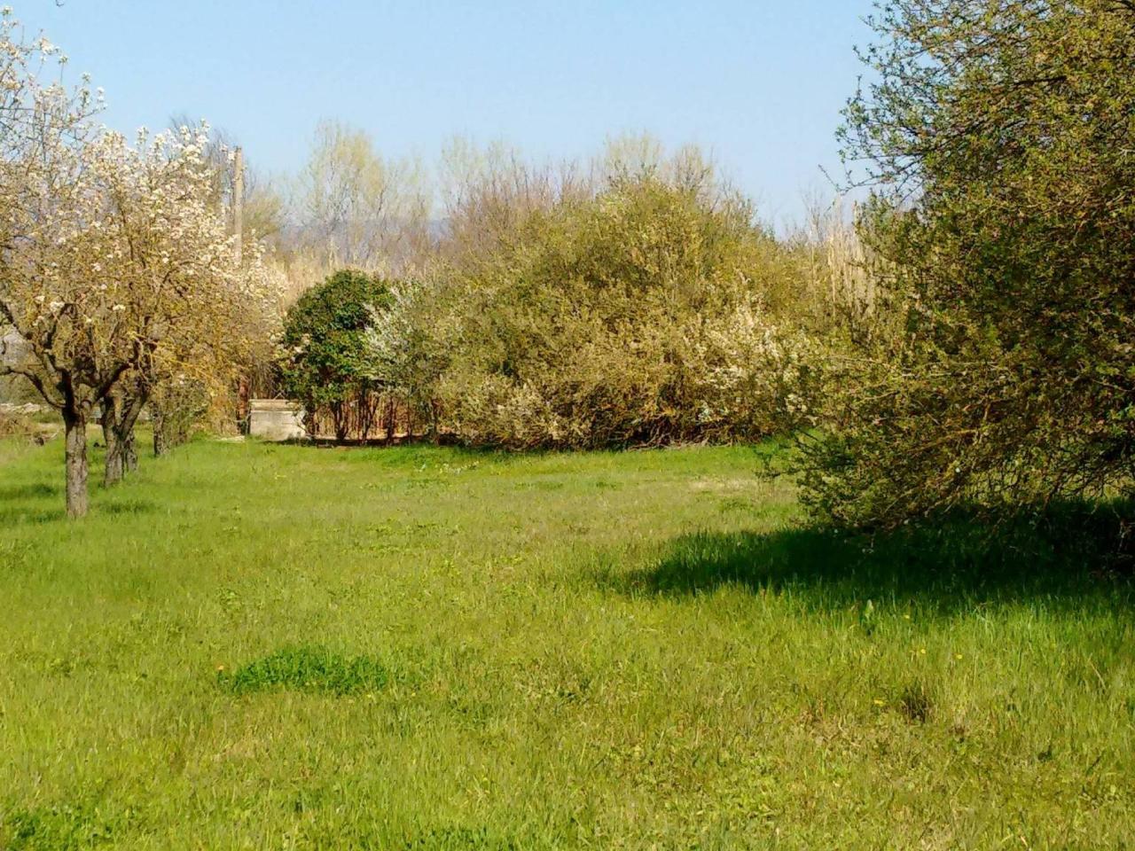 immagine annuncio 5 di 6