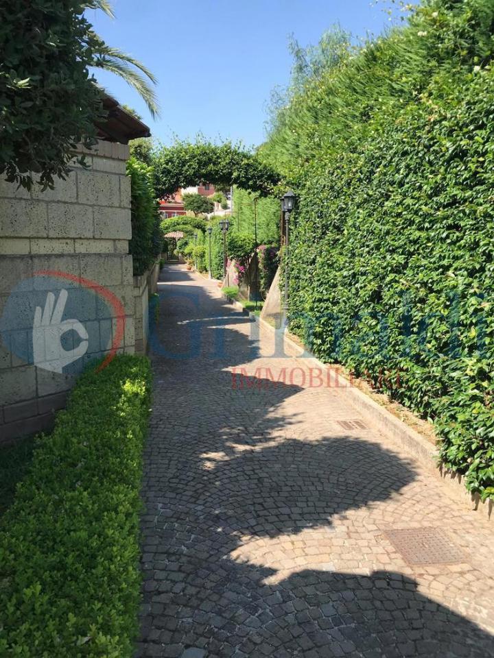 immagine annuncio 6 di 7