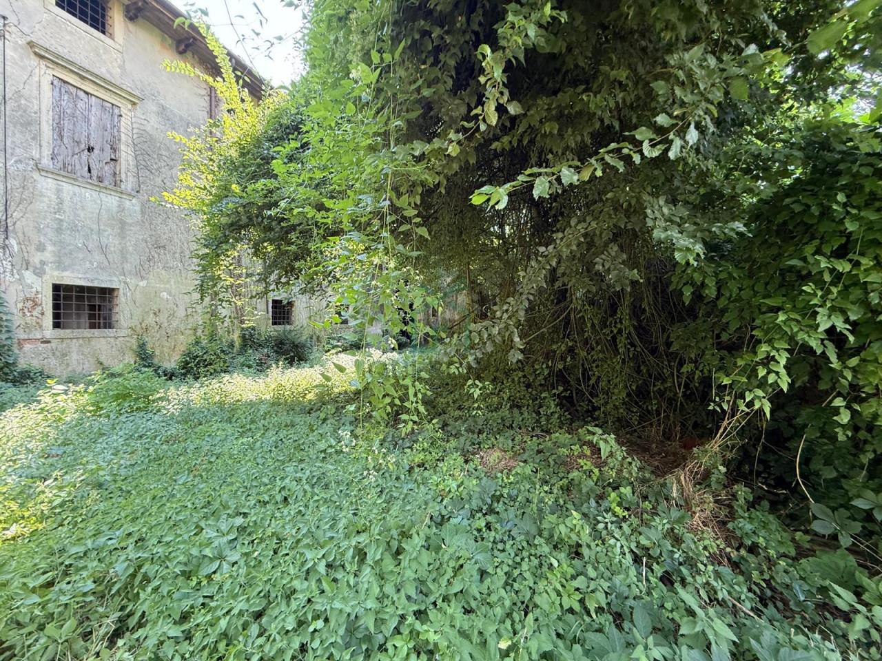 immagine annuncio 5 di 6
