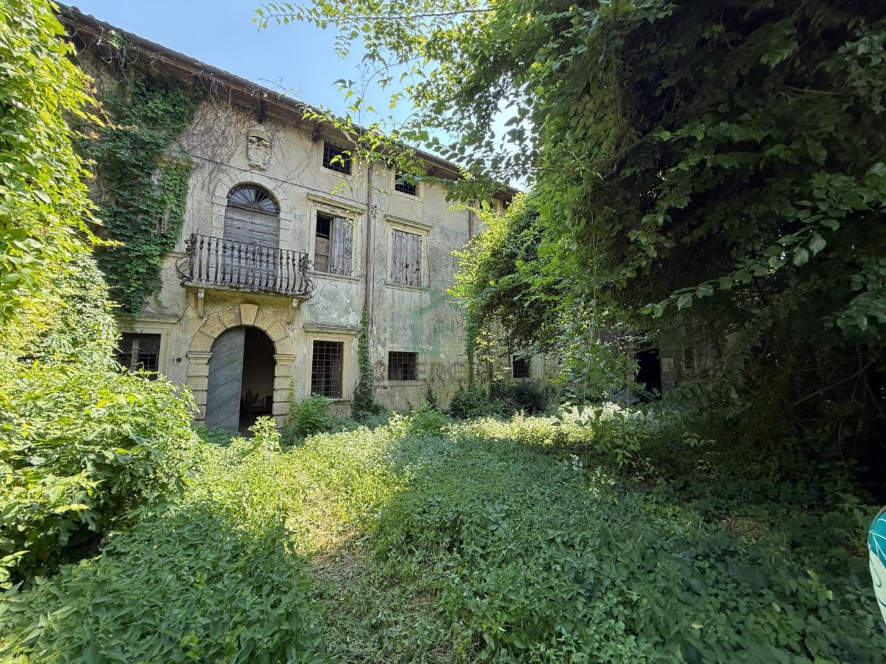immagine annuncio 4 di 6