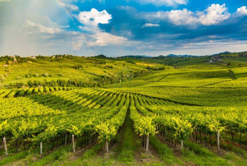 immagine annuncio 2 di 8