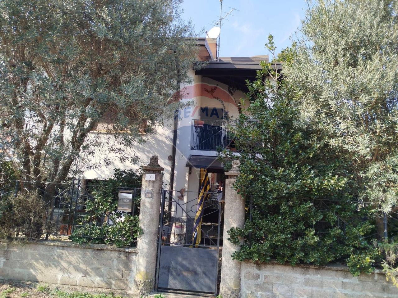 immagine annuncio 5 di 12
