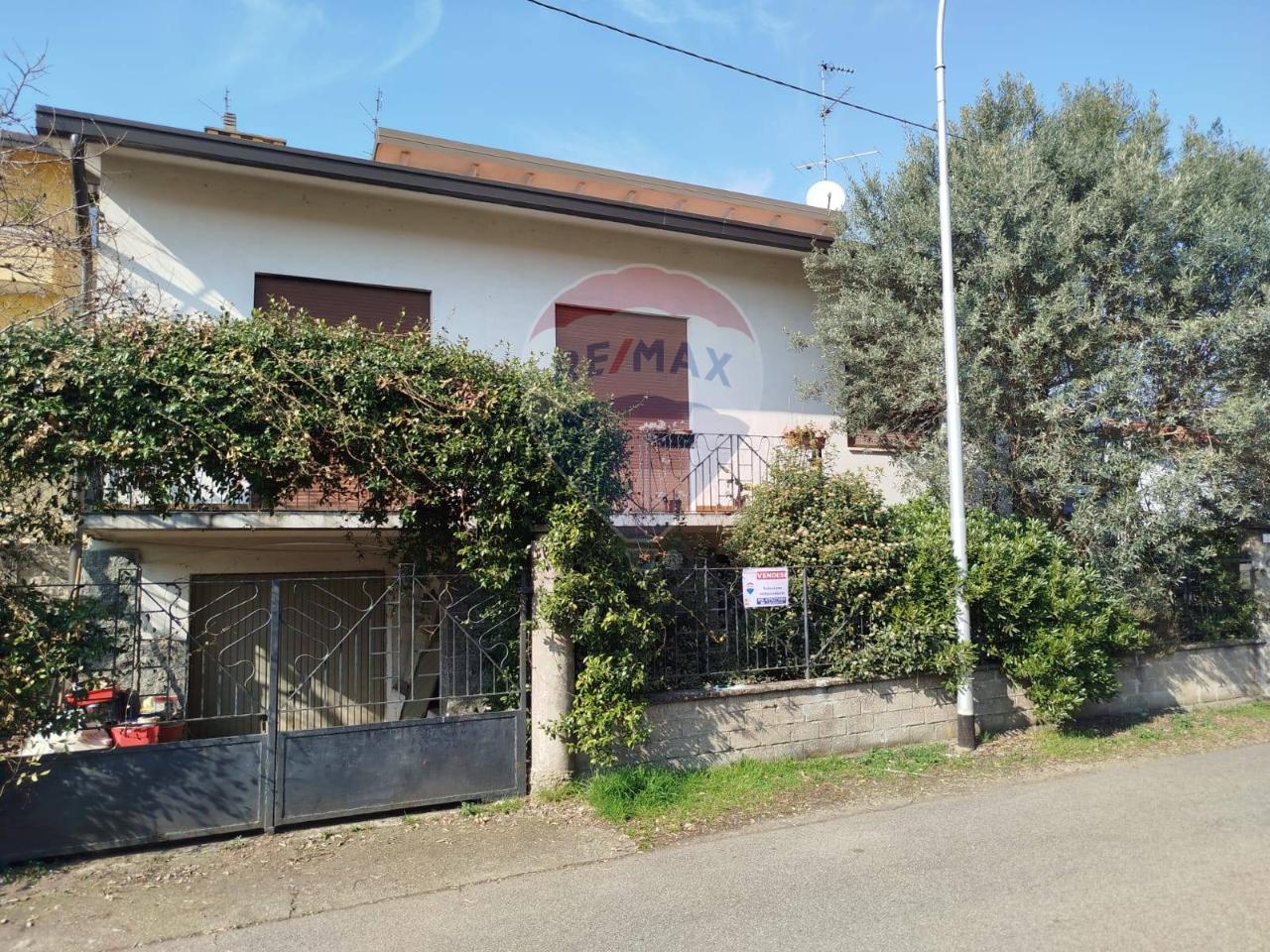 immagine annuncio 6 di 12