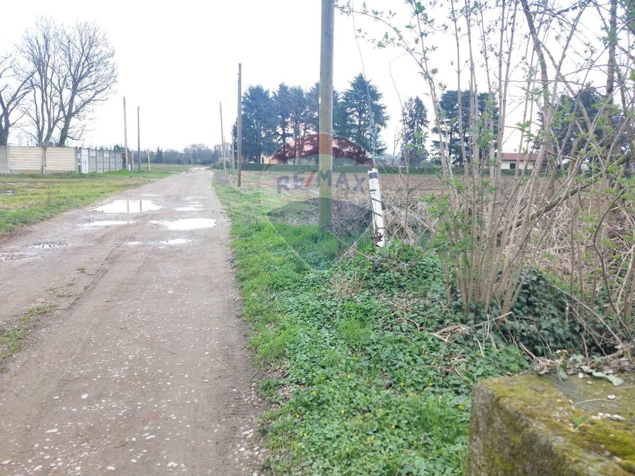 immagine annuncio 7 di 13