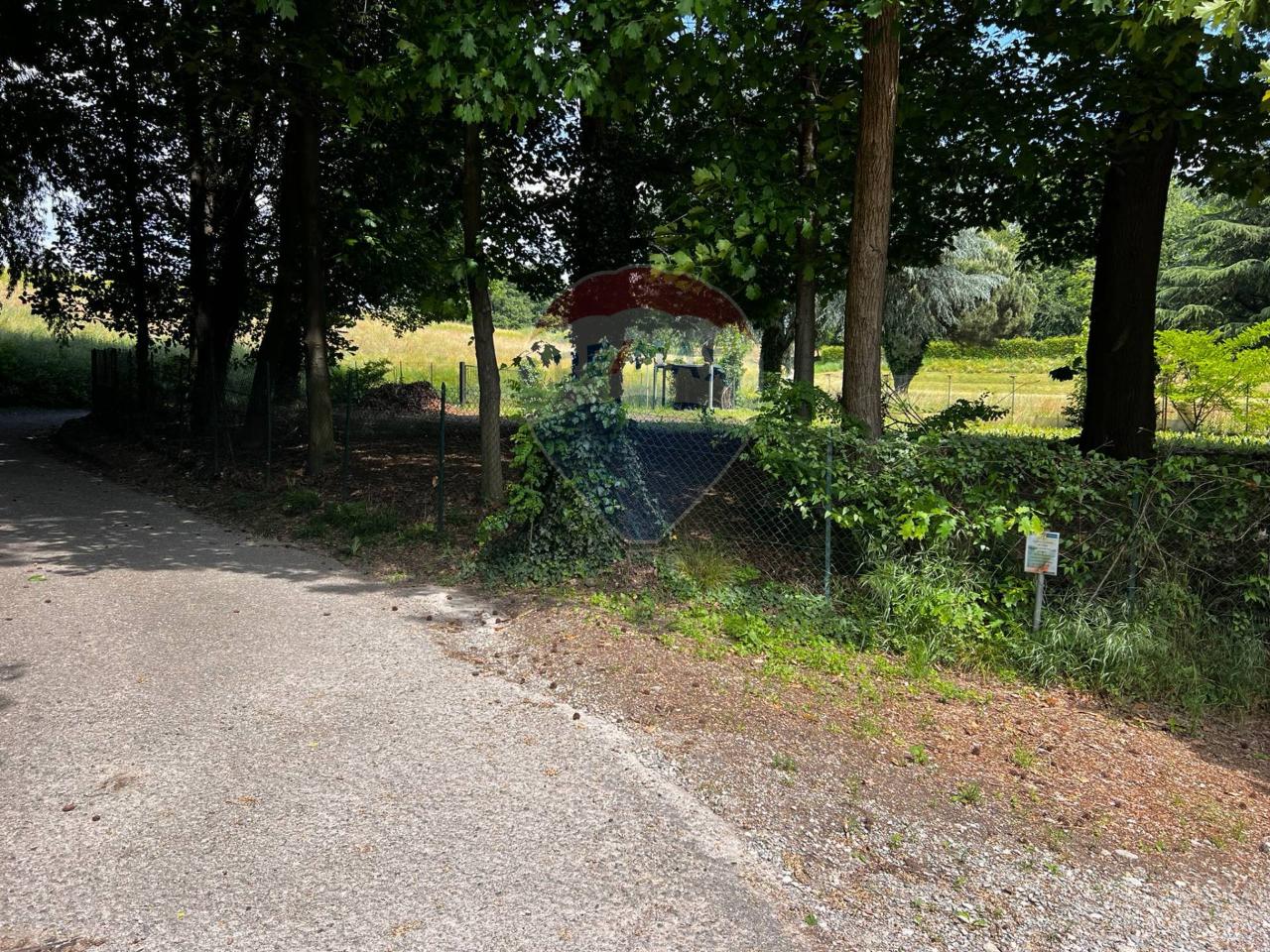 immagine annuncio 4 di 14