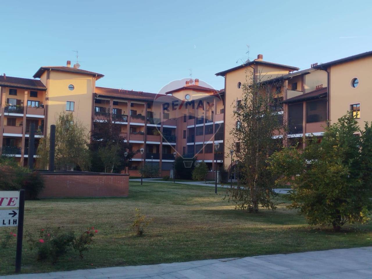 immagine annuncio 12 di 14