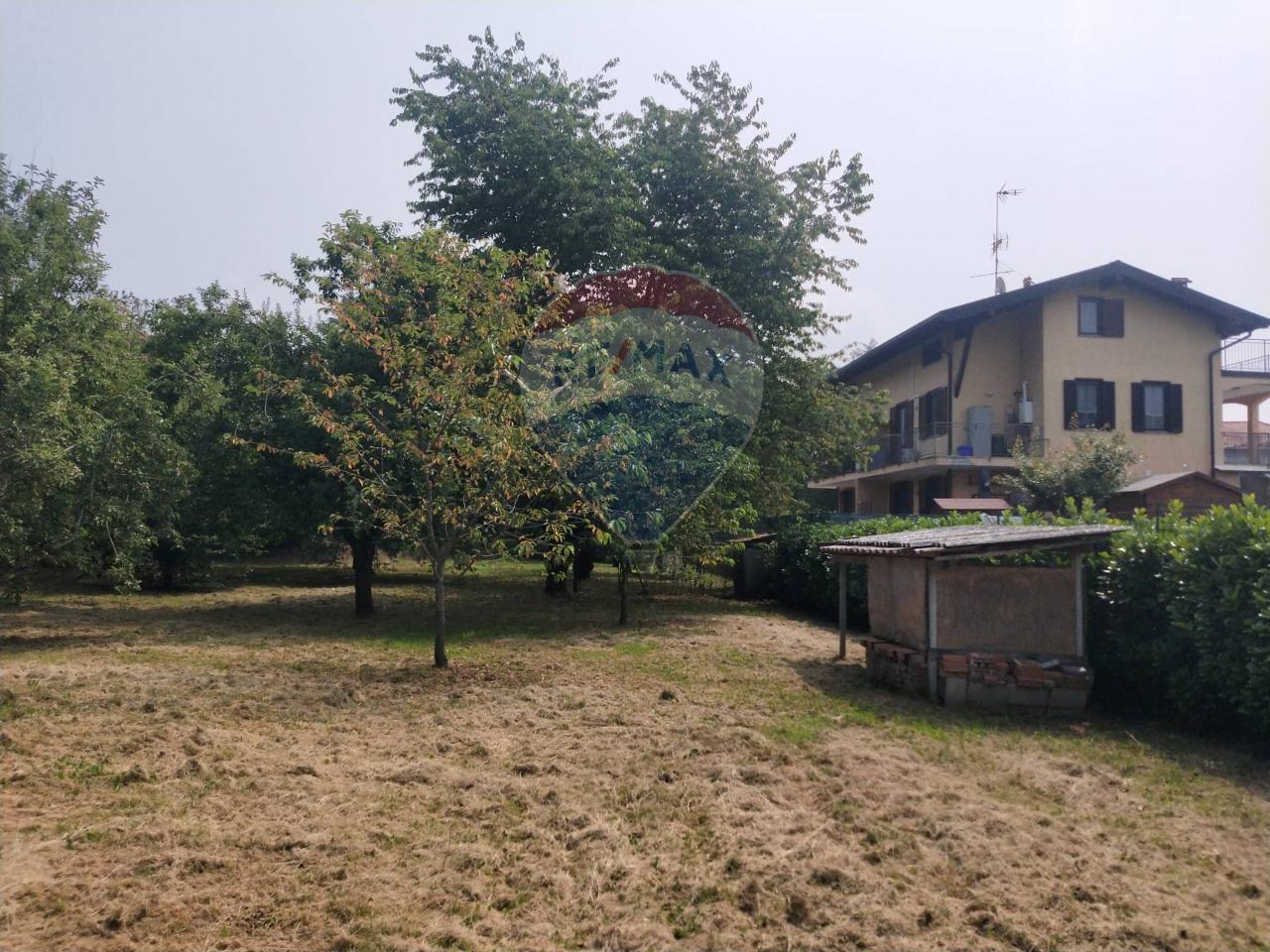 immagine annuncio 8 di 12