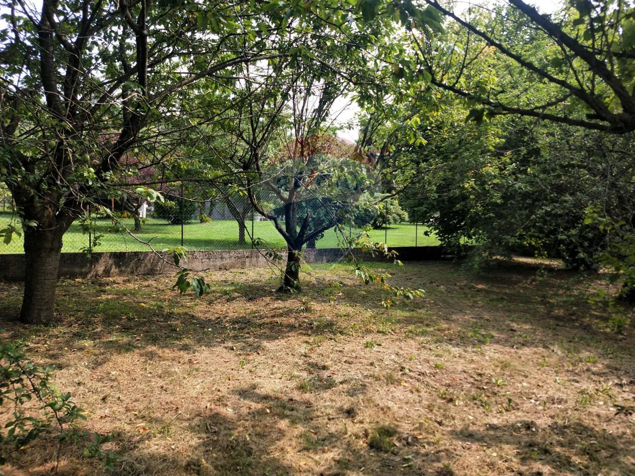 immagine annuncio 7 di 12