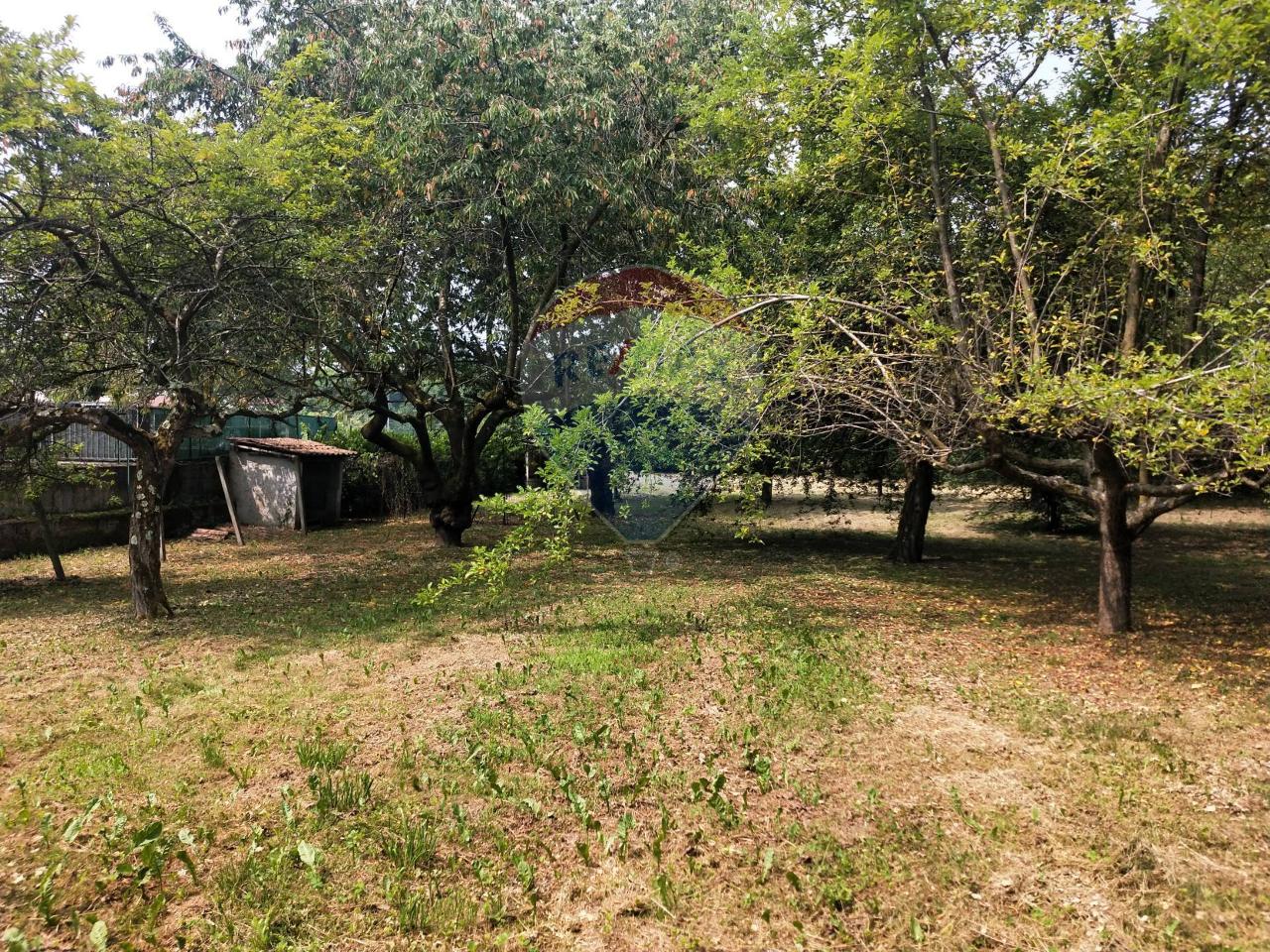 immagine annuncio 5 di 12