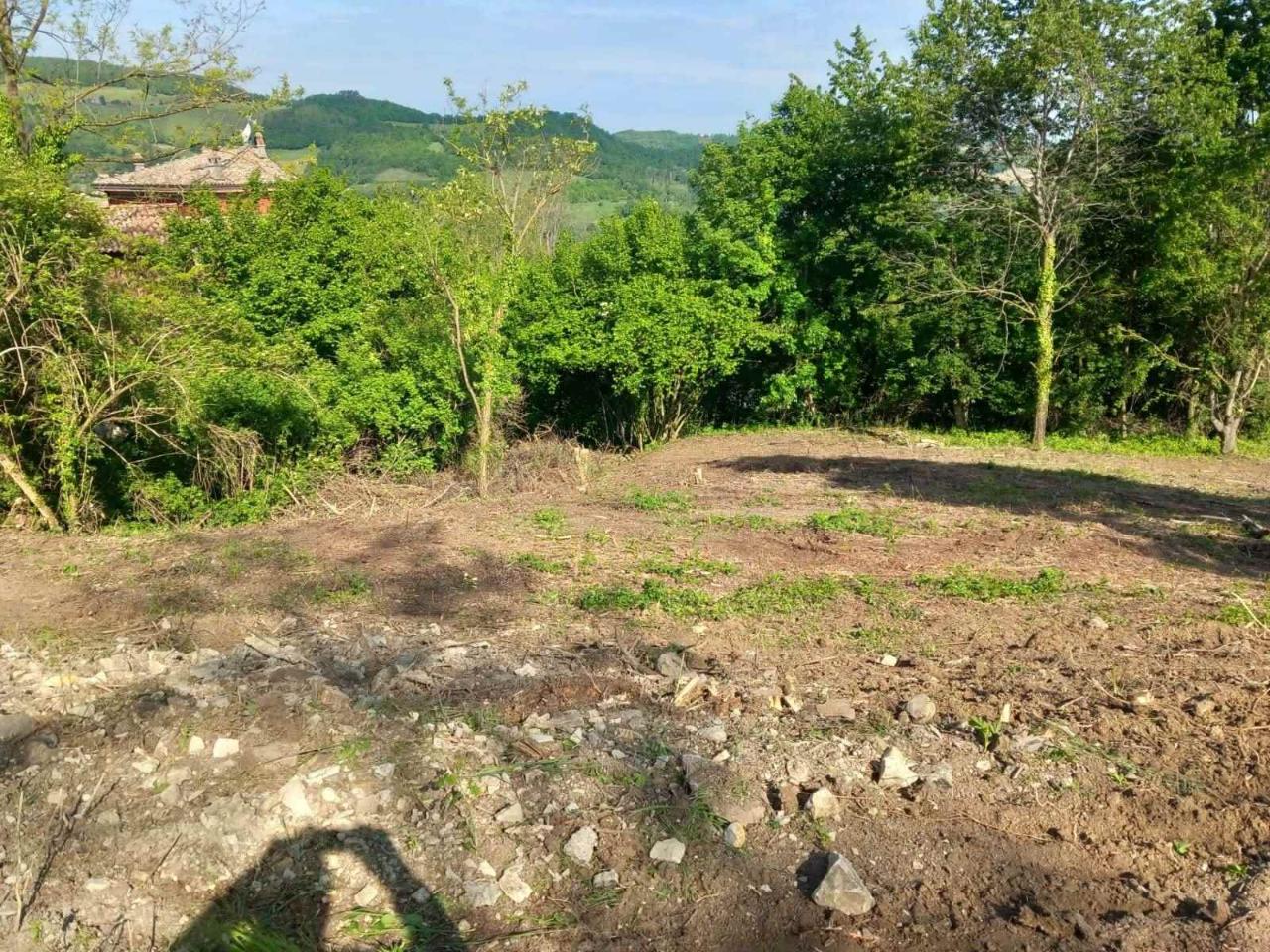 immagine annuncio 5 di 6