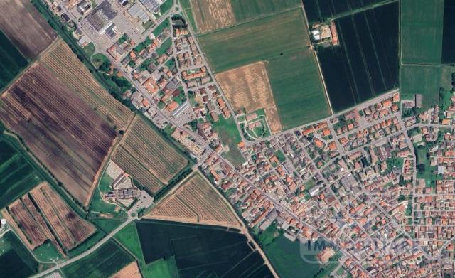 insertion image
