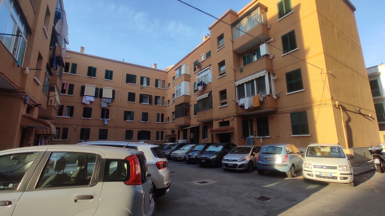 immagine annuncio 1 di 14