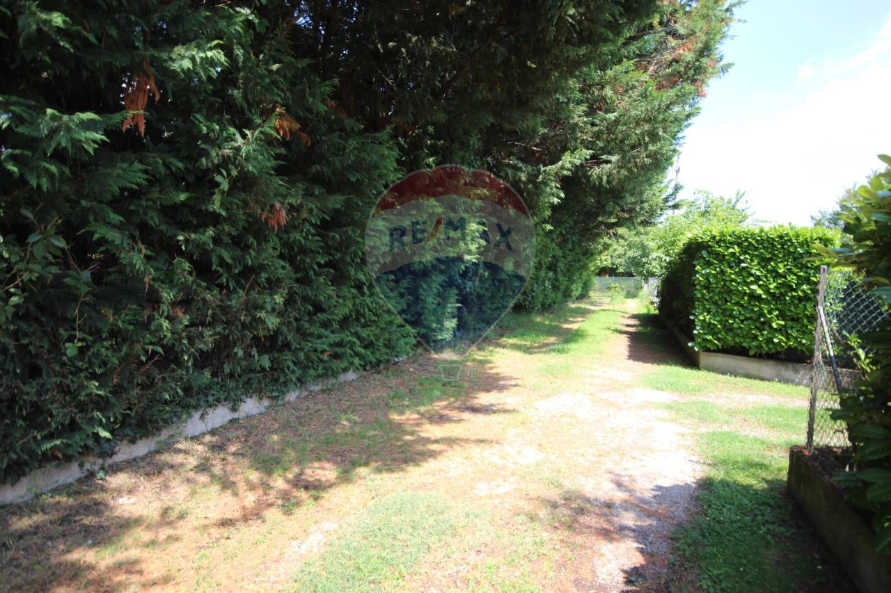 immagine annuncio 3 di 14