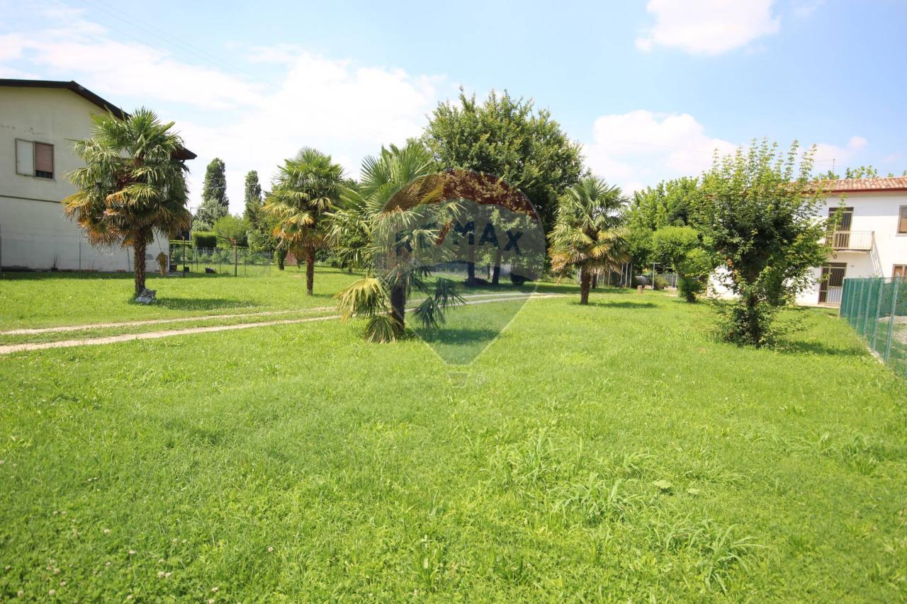 immagine annuncio 5 di 14
