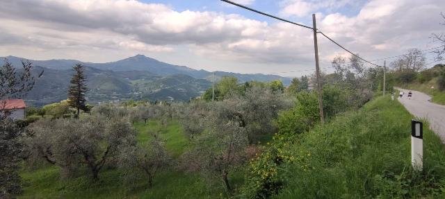 Terreno agricolo in {3}, Rosara - Foto 1